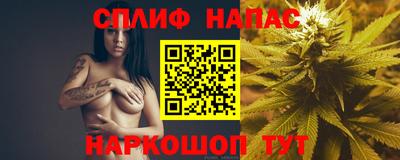 apvp Будённовск
