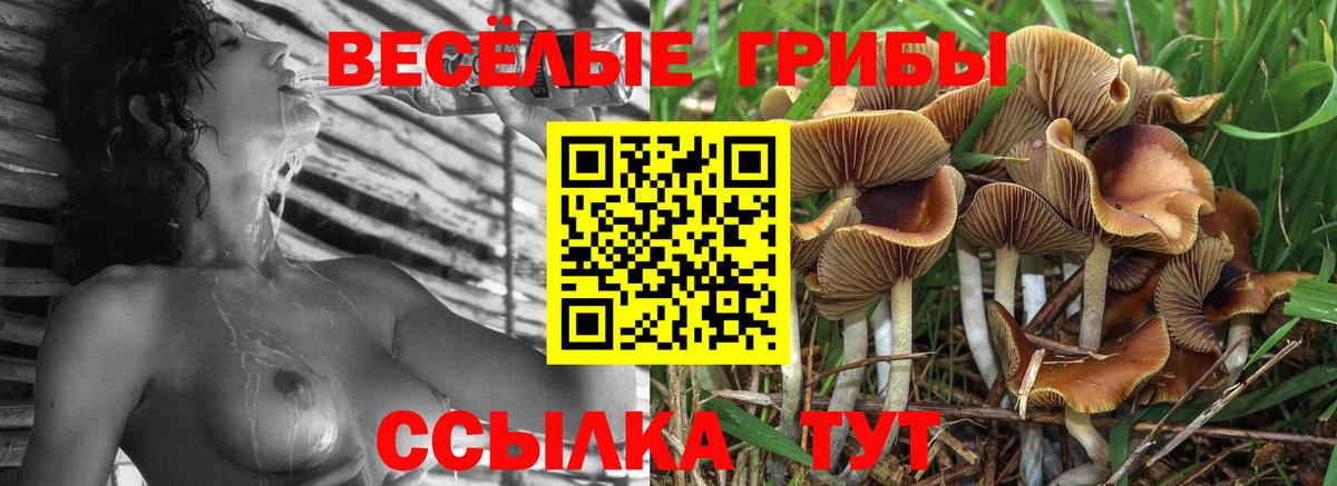Псилоцибиновые грибы прущие грибы Апрелевка